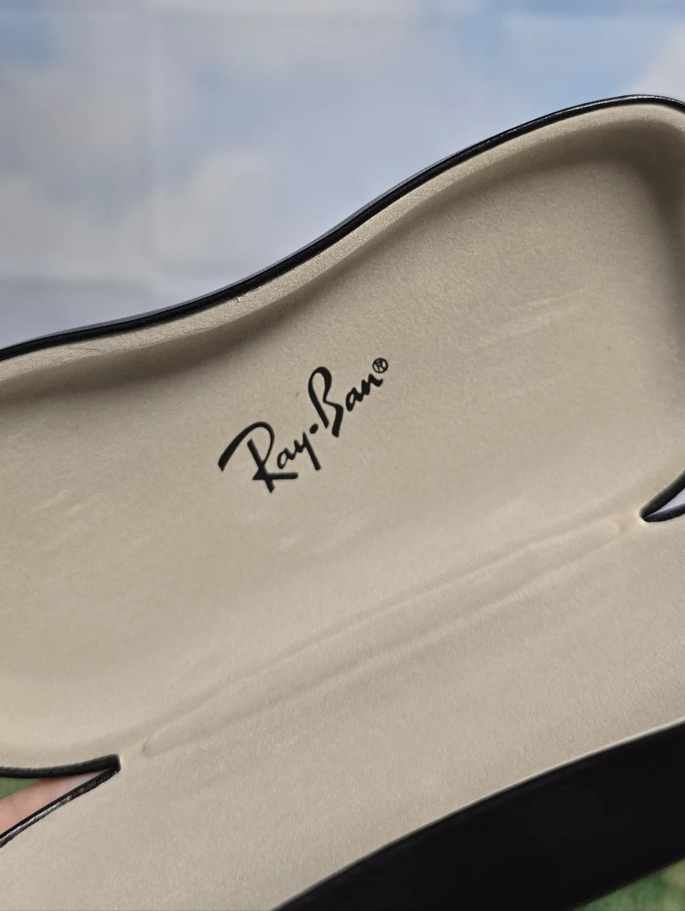 Ray-Ban Black Leather Glasses Hardcase